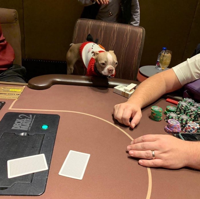 آموزش بازی انفجار اصلی